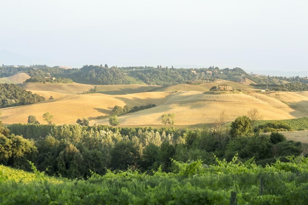 Casale Degli Ulivi Hotel ราโปลาโนแตร์เม ภายนอก รูปภาพ